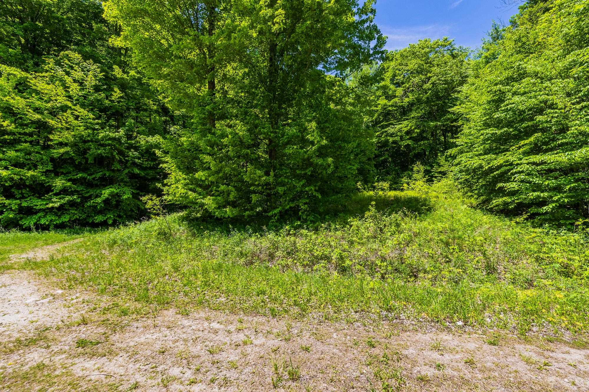 A Windsor Road Manchester Center, VT 05255 - Photo 8 of 22