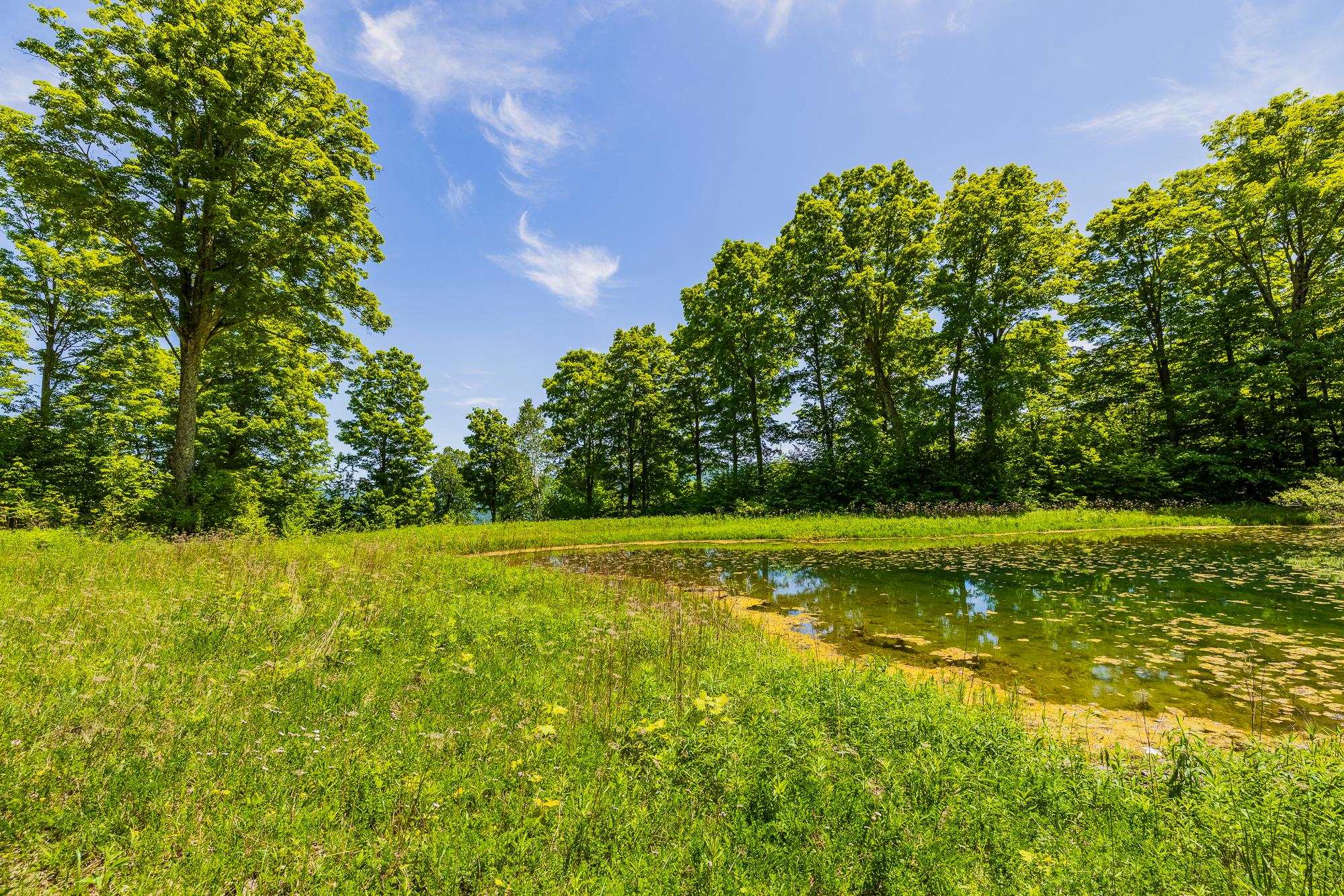 A Windsor Road Manchester Center, VT 05255 - Photo 9 of 22
