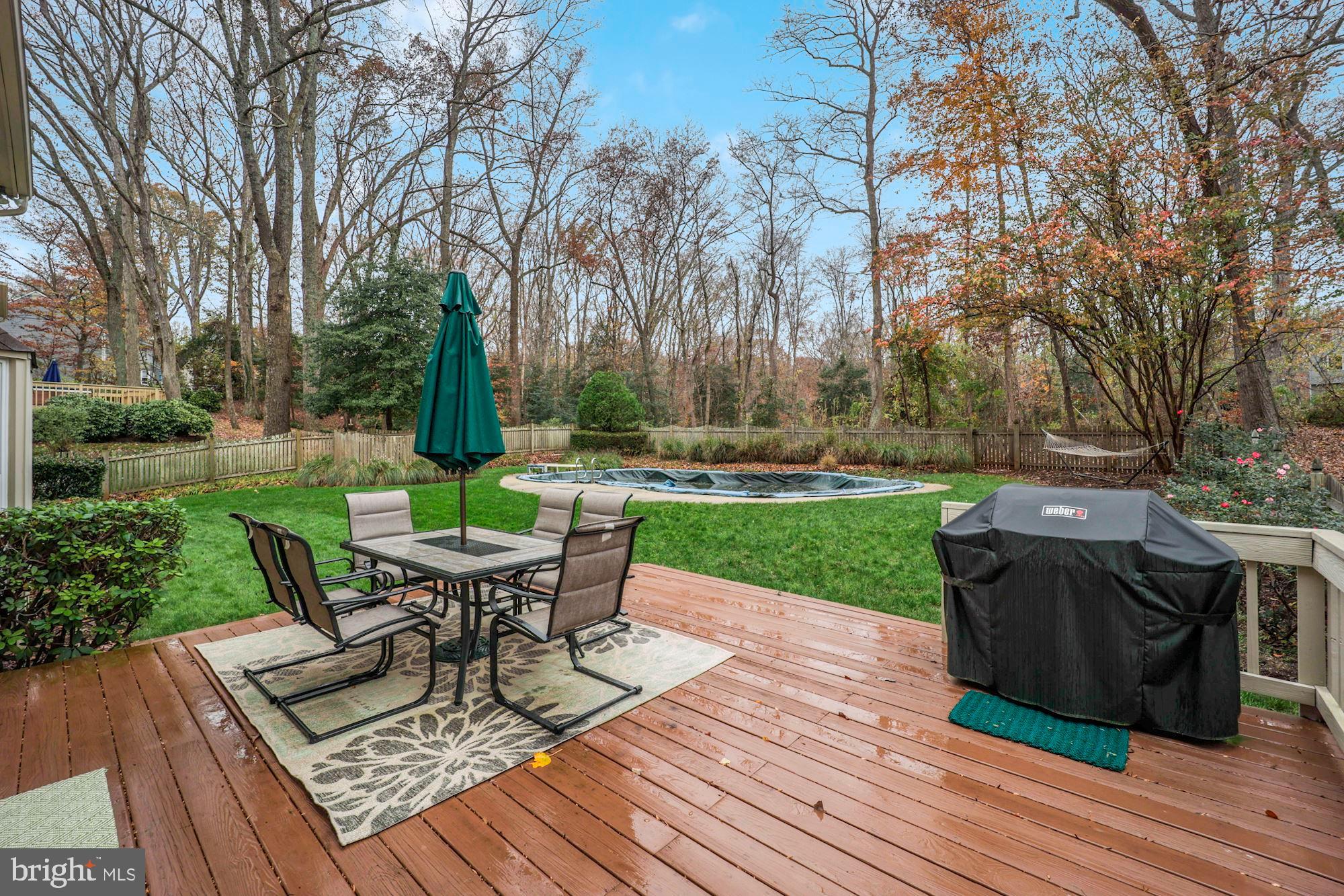 24 Old Sturbridge Road Arnold, MD 21012 - Photo 33 of 36 Entertainer's dream backyard!