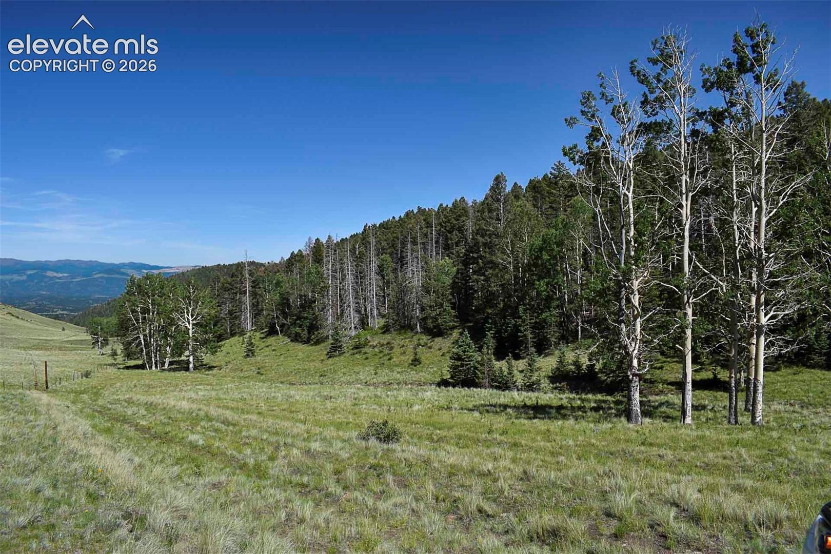 0 Bear Cat Road Guffey, CO 80820 - Photo 7 of 40 Gallery Image 7