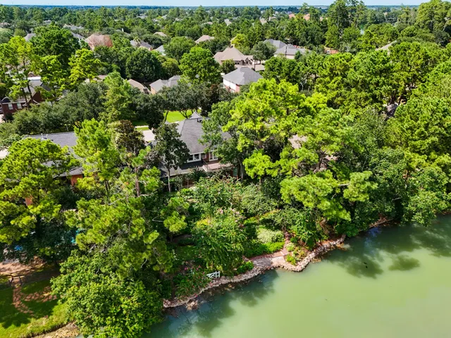 a view of a pathway in a garden