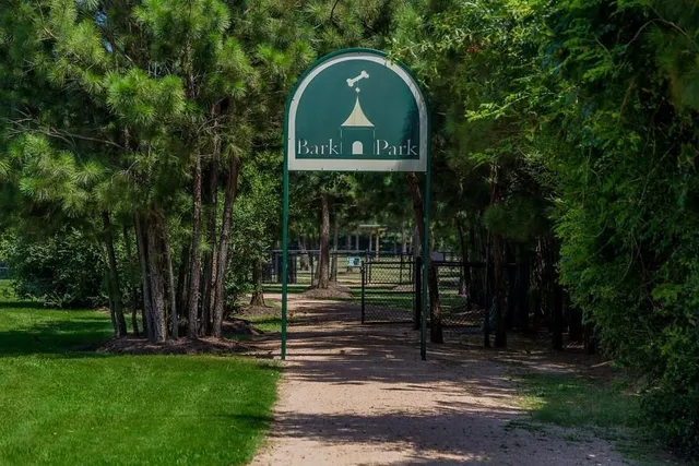 a view of a park with large trees