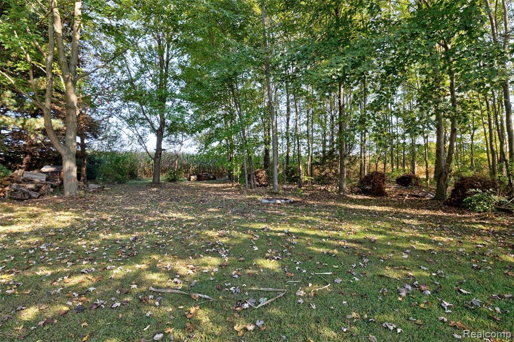 6392 Mitchell Road Palmyra, MI 49268 - Photo 39 of 52 Gallery Image 39
