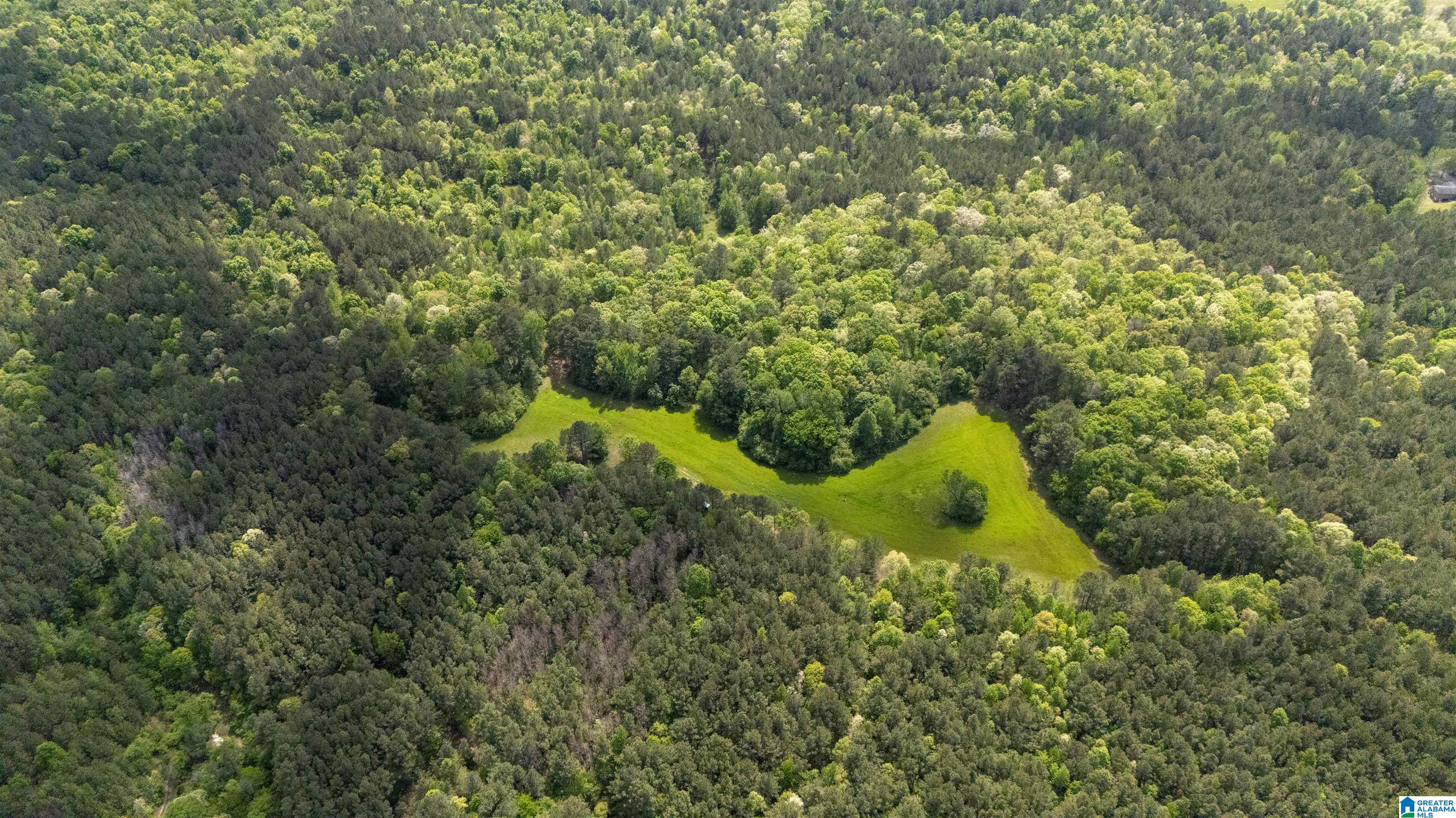 2121 Center Hill Road Trafford, AL 35172 - Photo 95 of 100