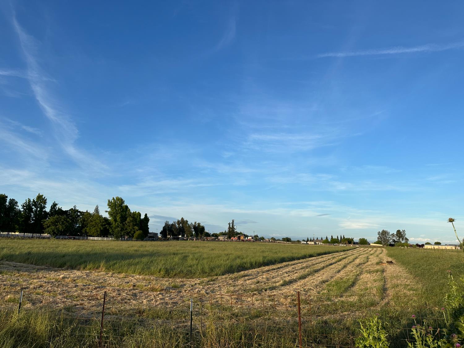 26044 North Graham Road Galt, CA 95632 - Photo 14 of 28