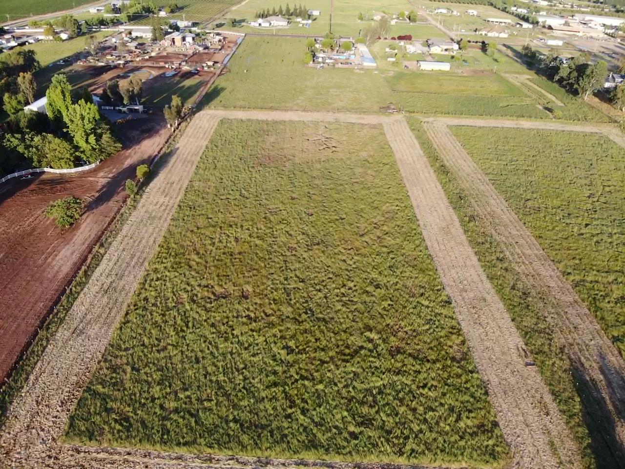 26044 North Graham Road Galt, CA 95632 - Photo 5 of 28