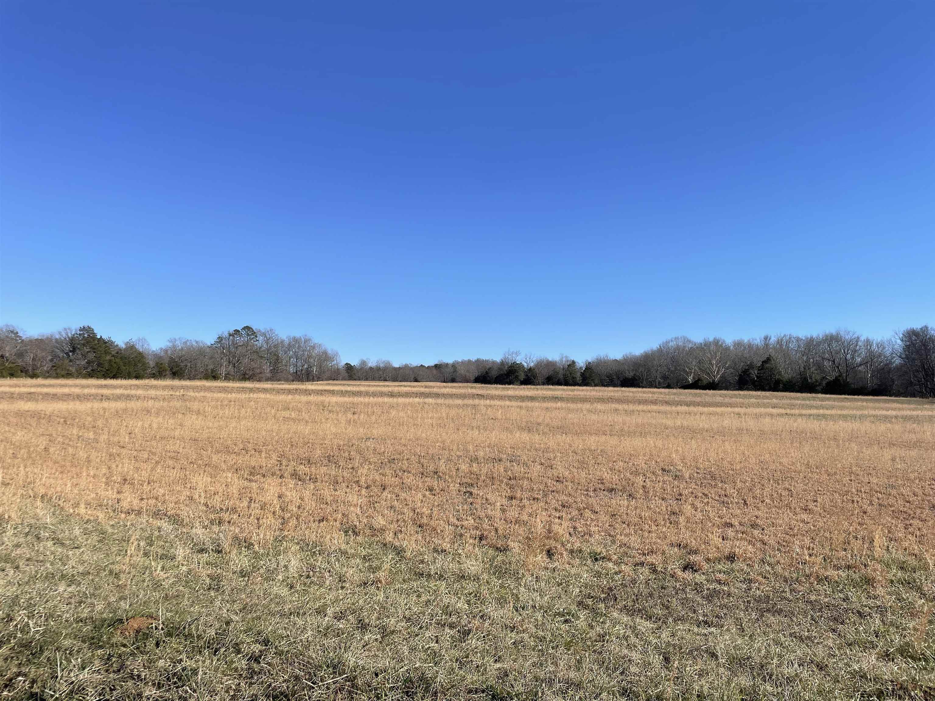 2245 Big Ivy Road Savannah, TN 38372 - Photo 34 of 39
