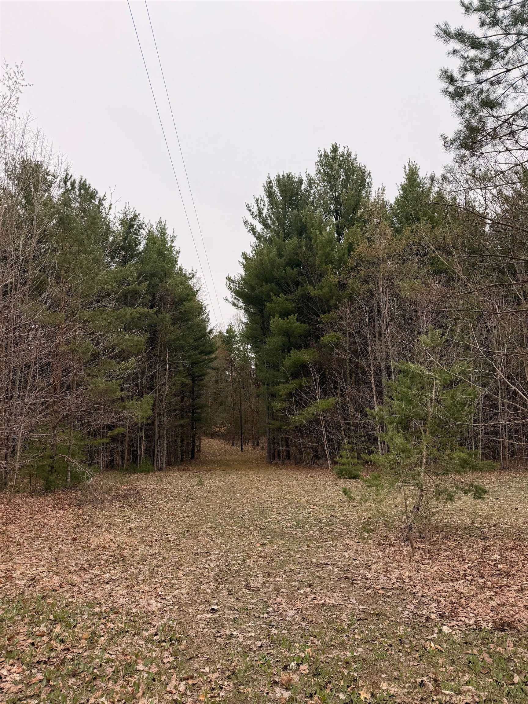 2 Woodland Trail, Unit PARCEL 2 Cedar, MI 49621 - Photo 15 of 19