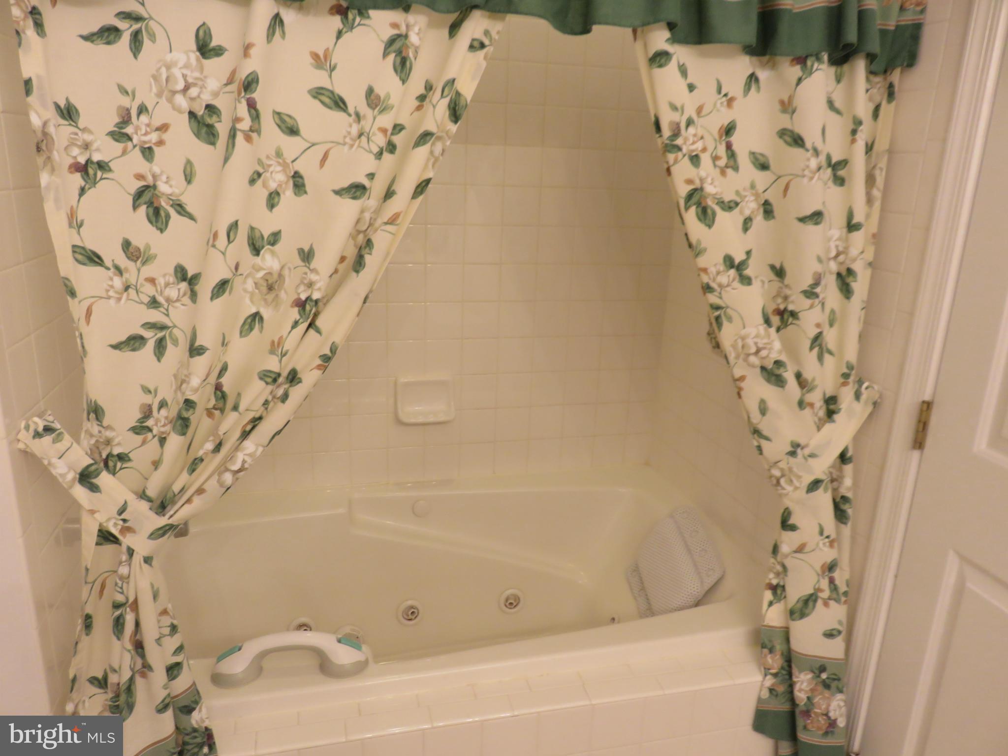 5268 Millfield Road, Unit 5268 Baltimore, MD 21237 - Photo 20 of 30 Jacuzzi Tub