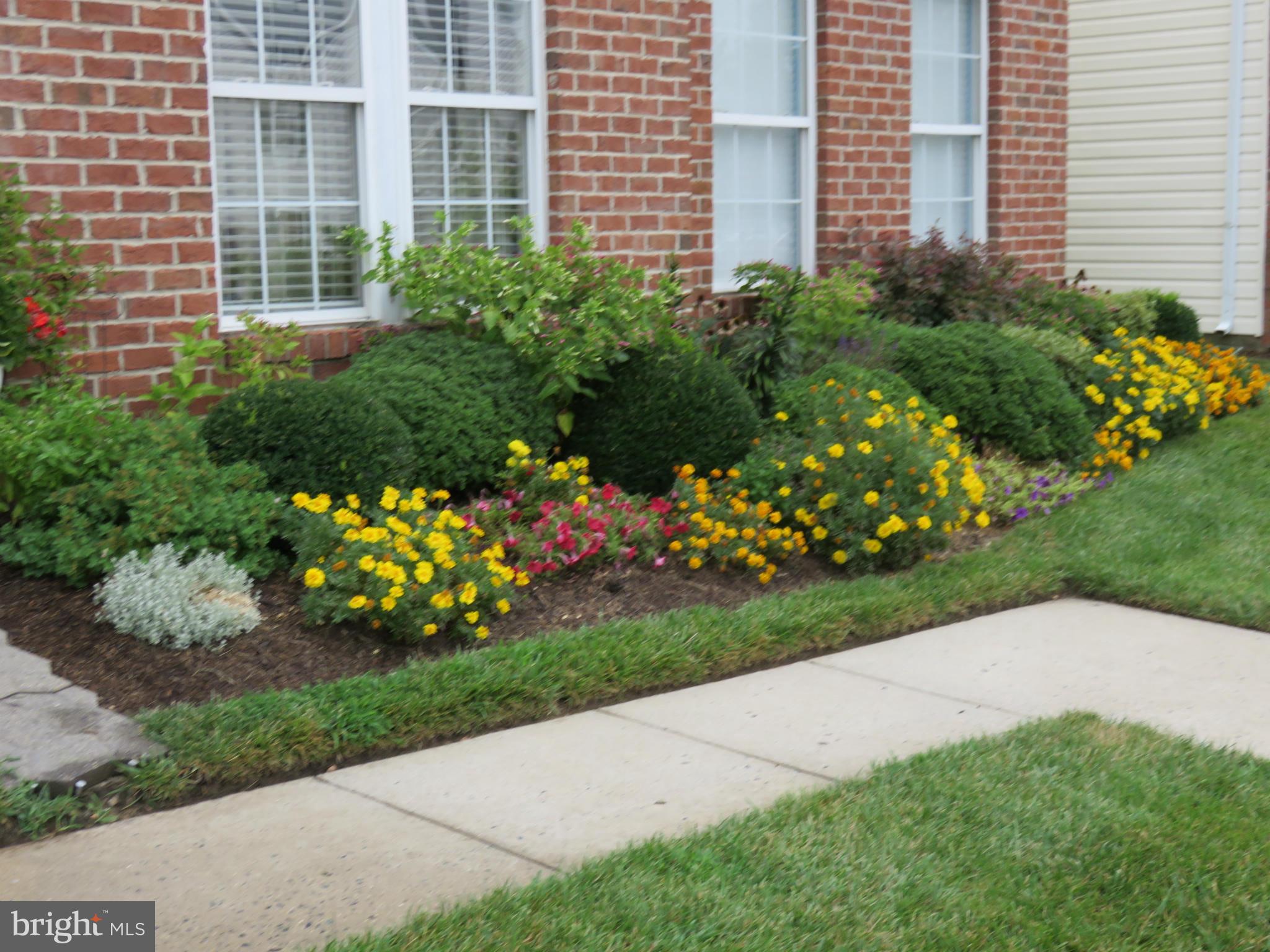 5268 Millfield Road, Unit 5268 Baltimore, MD 21237 - Photo 3 of 30 Landscaping