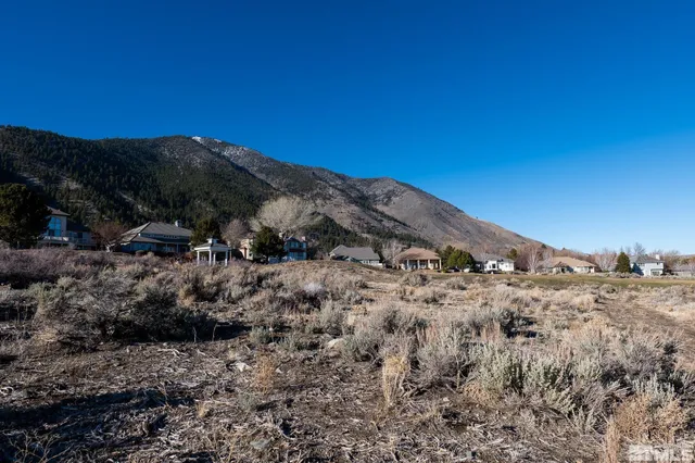 a view of backyard with small cabin
