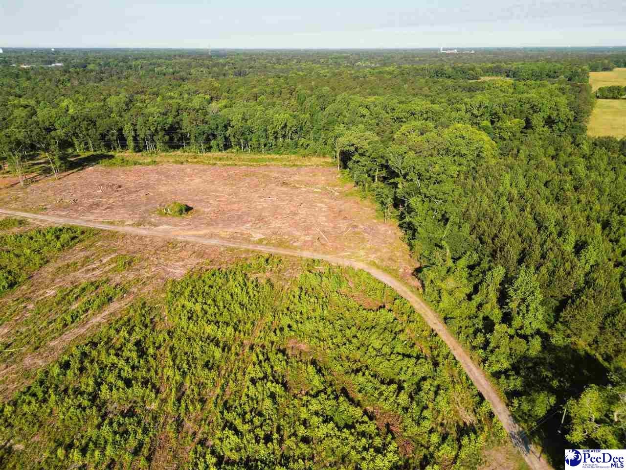 60-acres West Freight Road Florence, SC 29501 - Photo 9 of 27 Gallery Image 9