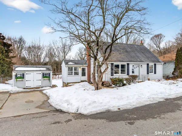 a view of a yard with a large tree