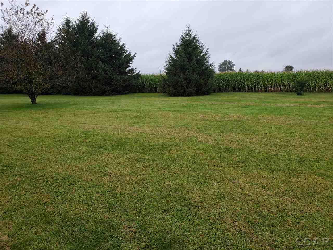 10820 Forche Road Blissfield, MI 49228 - Photo 45 of 50 Gallery Image 45