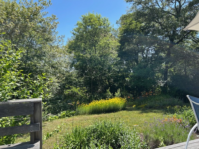 190 Longview Road West Tisbury, MA 02568 - Photo 18 of 23 Back Yard from Deck