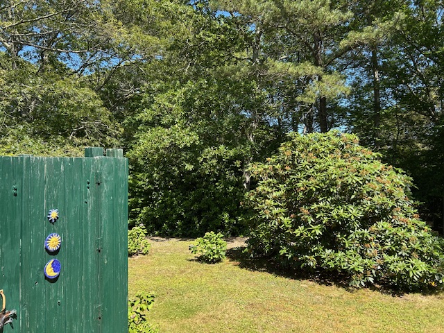 190 Longview Road West Tisbury, MA 02568 - Photo 21 of 23 Outdoor Shower & Side Yard