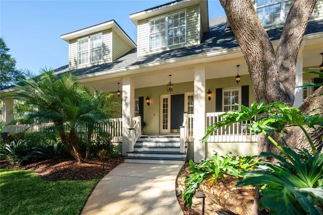 a view of a yard with plants and large trees beside of it