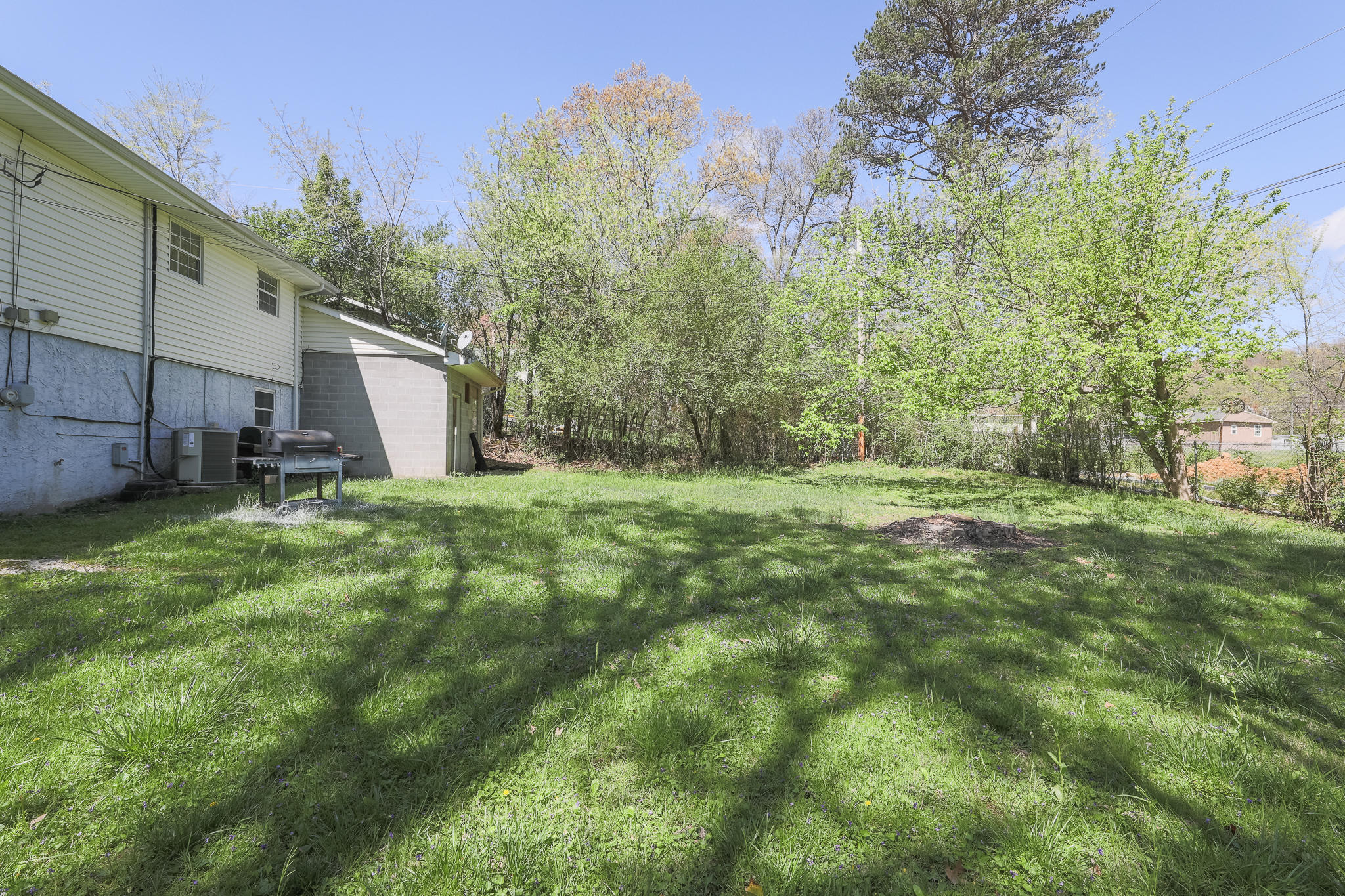 1601 North Chester Road Hixson, TN 37343 - Photo 3 of 23 BACK YARD