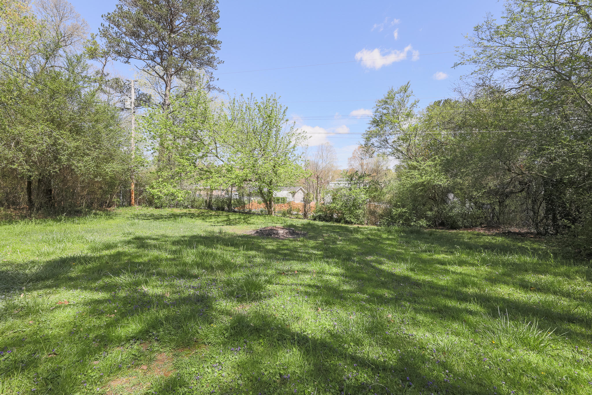 1601 North Chester Road Hixson, TN 37343 - Photo 6 of 23 BACK YARD
