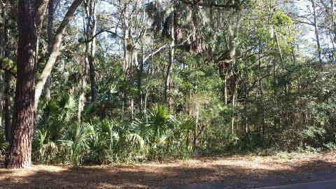 2876 Captain Sams Road Johns Island, SC 29455 - Photo 1 of 21 2876 Cap'n Sams