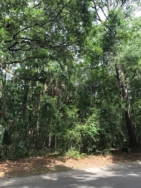 2876 Captain Sams Road Johns Island, SC 29455 - Photo 2 of 21 2876 Cap'n Sams