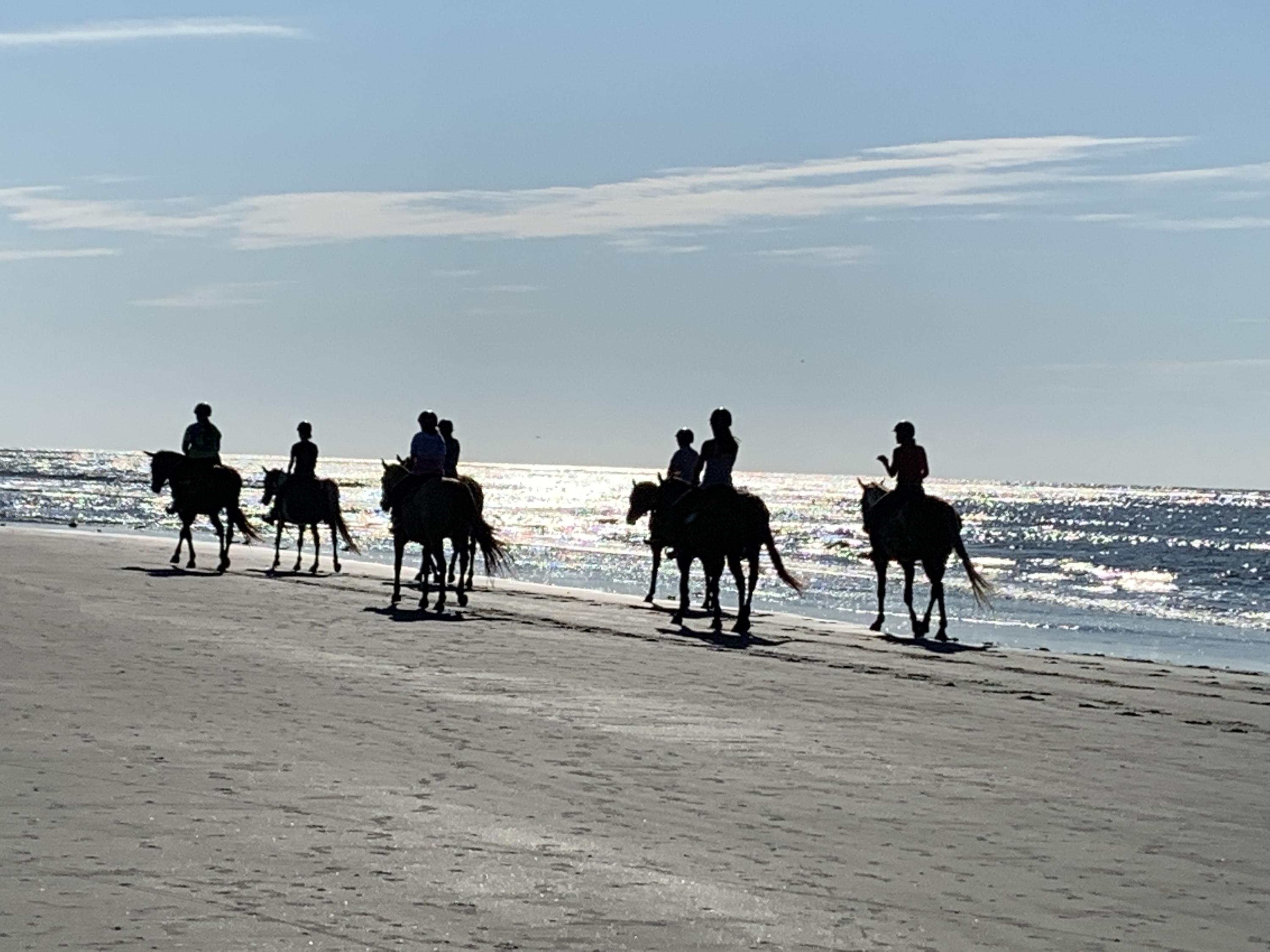 2876 Captain Sams Road Johns Island, SC 29455 - Photo 10 of 21 Horses on the Beach