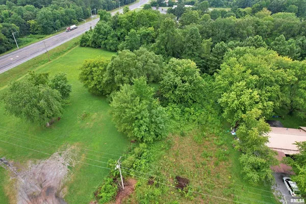 a view of a garden with a lake