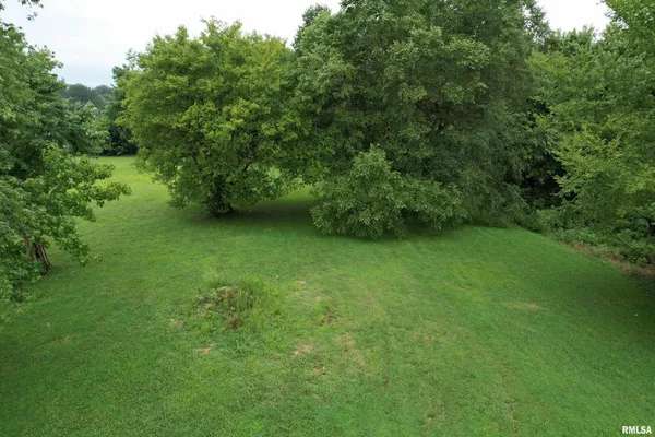 a view of green field with trees in the background