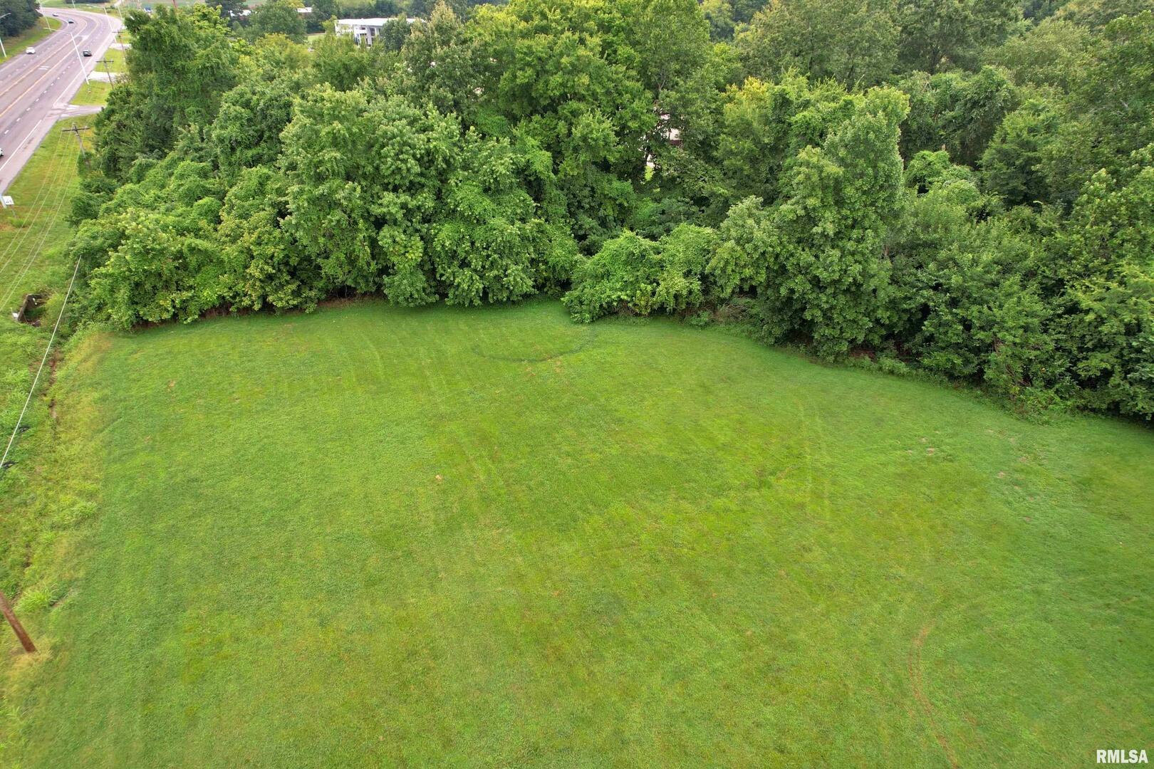 11 Faughn Lane Metropolis, IL 62960 - Photo 9 of 15 a view of a green yard