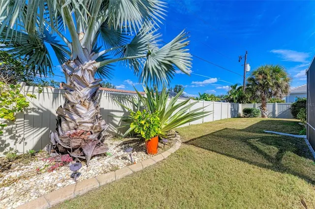 a view of a palm plant in front of a building