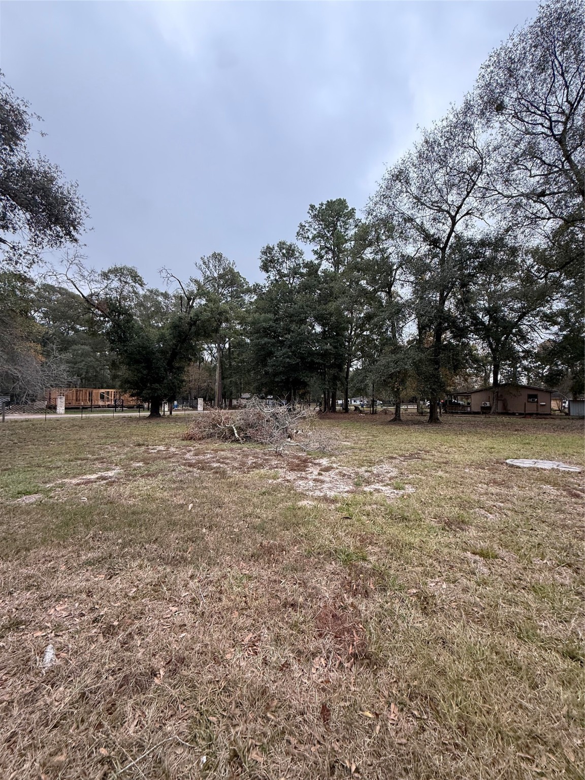 281 Scott Road Cleveland, TX 77328 - Photo 2 of 7 a view of yard with trees