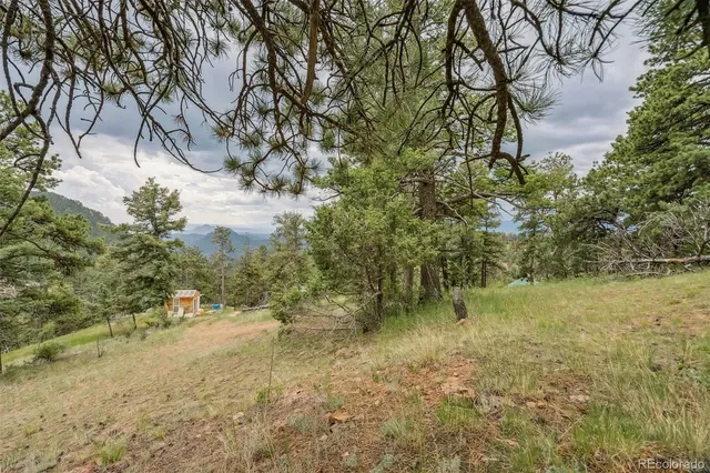 a view of a yard with an trees