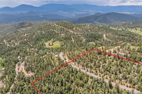 a view of a bunch of trees and bushes