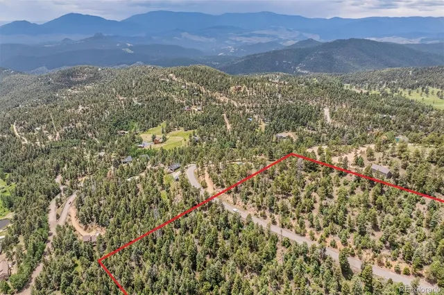 a view of a bunch of trees and bushes