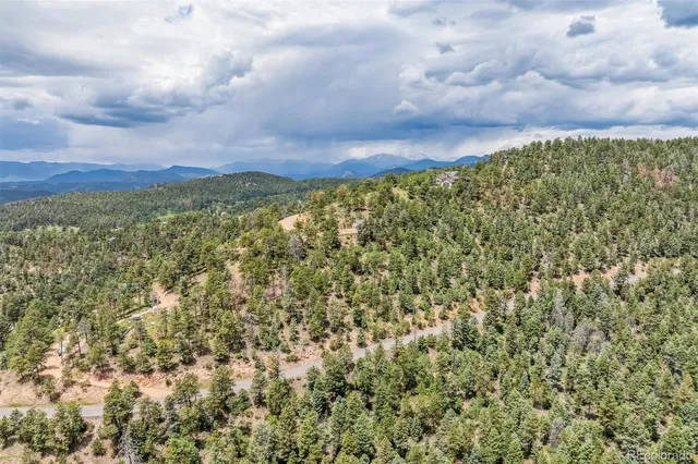 a view of a bunch of flowers and trees