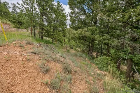 a view of a lake with large trees