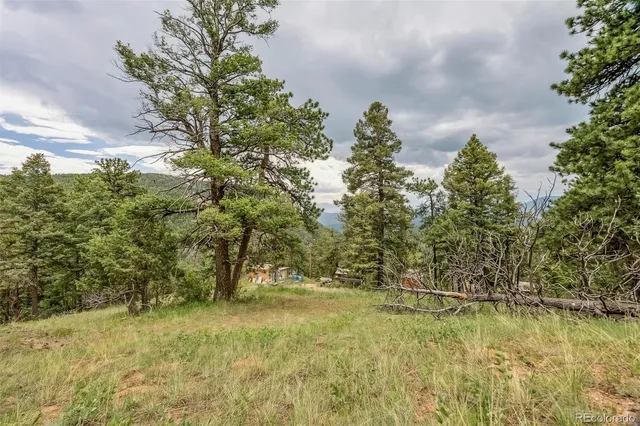 a view of yard with trees
