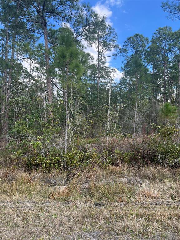 6727 Balboa Boulevard Sebring, FL 33872 - Photo 2 of 6