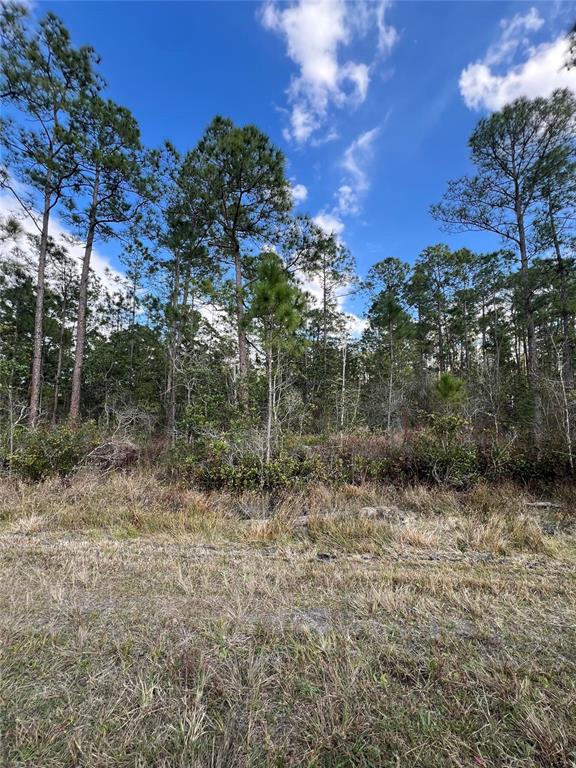 6727 Balboa Boulevard Sebring, FL 33872 - Photo 3 of 6