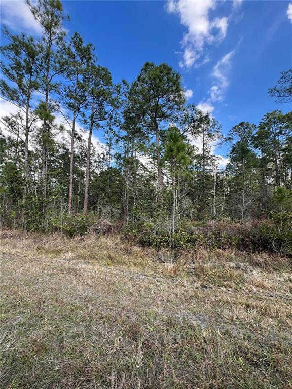 6727 Balboa Boulevard Sebring, FL 33872 - Photo 4 of 6