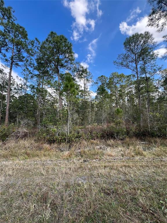 6727 Balboa Boulevard Sebring, FL 33872 - Photo 6 of 6