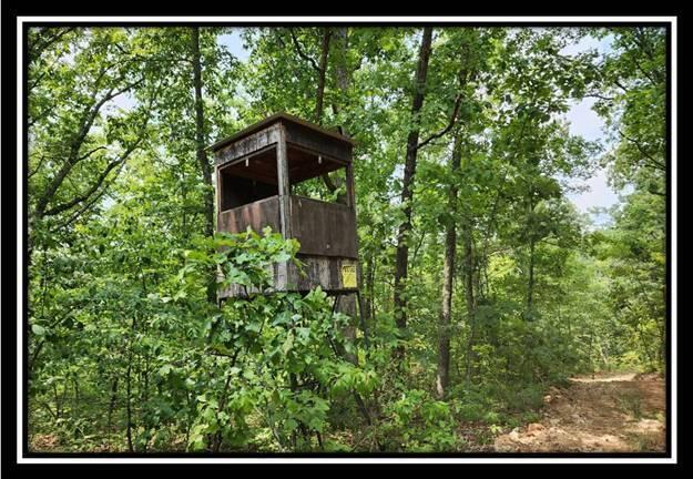 0 Back Run Road, Unit TRACT 2 HAWK NEST CABIN) Philo, OH 43771 - Photo 39 of 56 image039