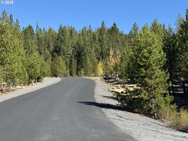 a view of a road with plants and trees in the background