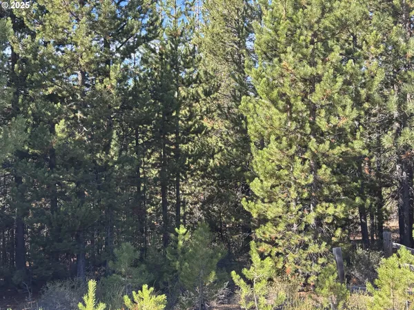 $115,000 | Crescent Moon Drive, Unit 30, Crescent Lake, OR 97733