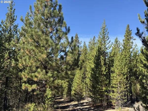 $115,000 | Crescent Moon Drive, Unit 30, Crescent Lake, OR 97733