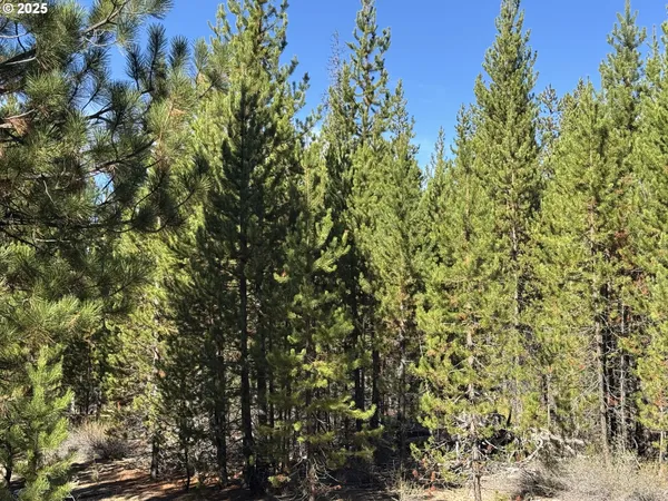 $115,000 | Crescent Moon Drive, Unit 30, Crescent Lake, OR 97733