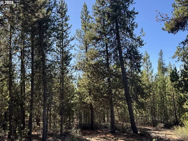 $115,000 | Crescent Moon Drive, Unit 30, Crescent Lake, OR 97733