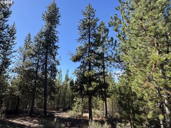 $115,000 | Crescent Moon Drive, Unit 30, Crescent Lake, OR 97733