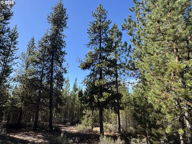 a view of outdoor space and a yard