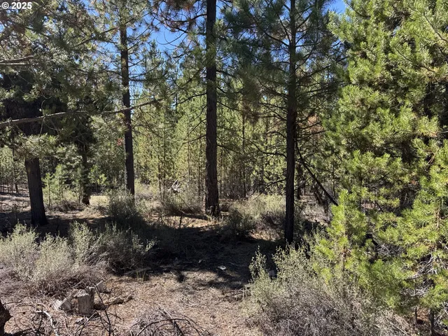 a view of a backyard of the house